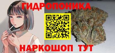 mdpv Обнинск