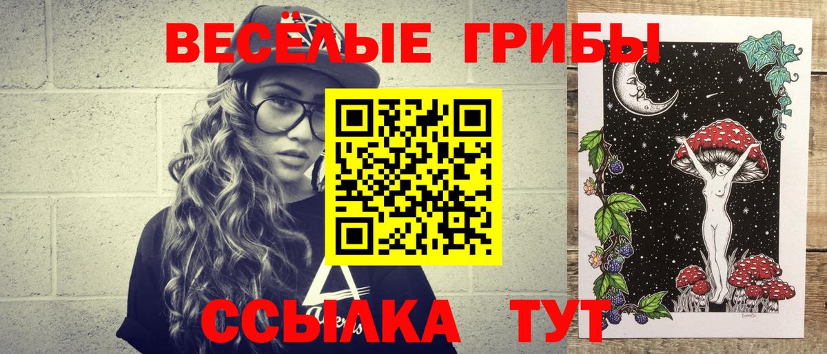Псилоцибиновые грибы ЛСД Тара