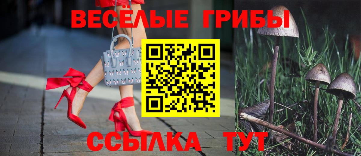 Галлюциногенные грибы Cubensis  Вход с VPN  Тара  Галлюциногенные грибы Psilocybine cubensis 