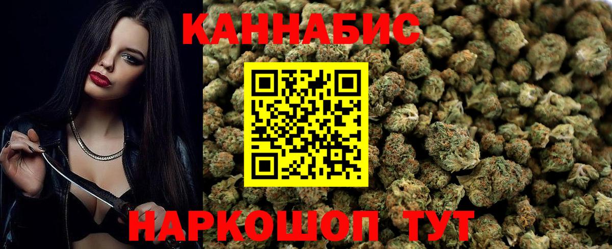 Тара  Канабис конопля  Вход с VPN  Каннабис ГИДРОПОН 